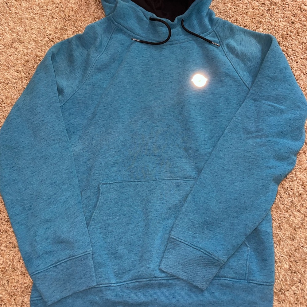 Blue Hollister hoodie in a size large